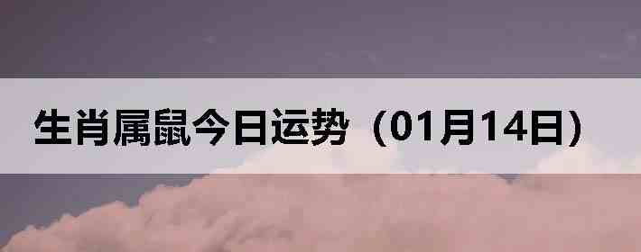 ��Ф����������ƣ�01��14�գ�