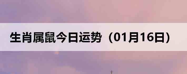 ��Ф����������ƣ�01��16�գ�