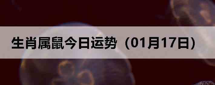 ��Ф����������ƣ�01��17�գ�