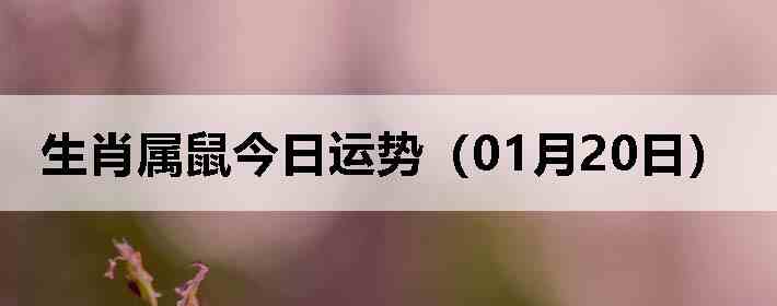 ��Ф����������ƣ�01��20�գ�