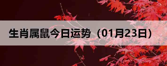 ��Ф����������ƣ�01��23�գ�