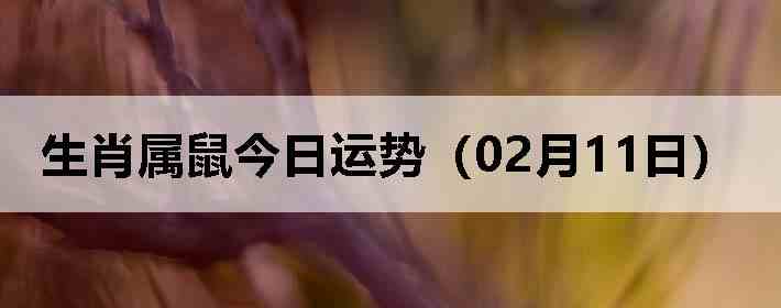 ��Ф����������ƣ�02��11�գ�