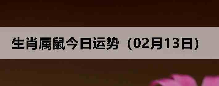 ��Ф����������ƣ�02��13�գ�