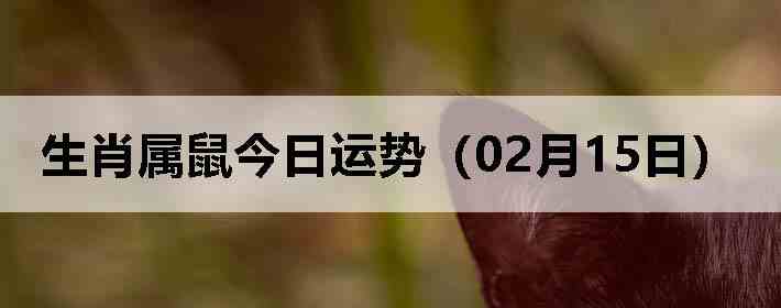 ��Ф����������ƣ�02��15�գ�