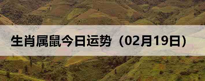 ��Ф����������ƣ�02��19�գ�