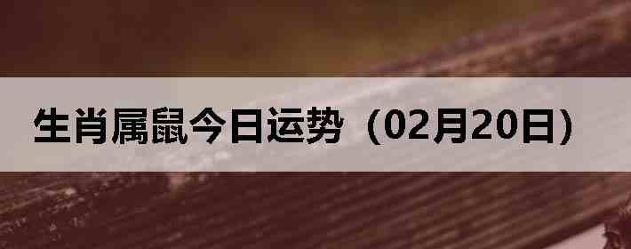 ��Ф����������ƣ�02��20�գ�