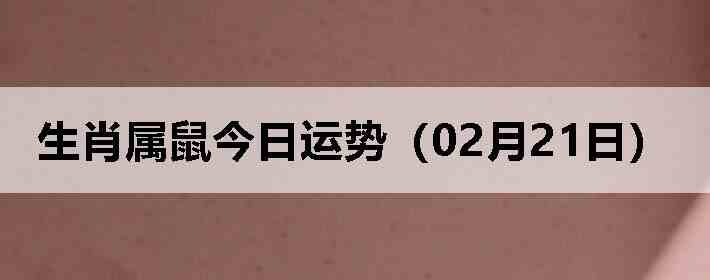 ��Ф����������ƣ�02��21�գ�