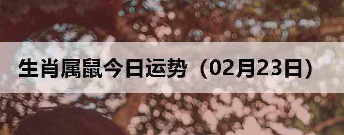 ��Ф����������ƣ�02��23�գ�