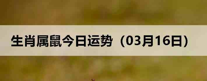 ��Ф����������ƣ�03��16�գ�