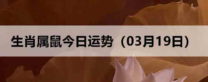 ��Ф����������ƣ�03��19�գ�