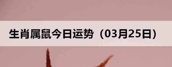 ��Ф����������ƣ�03��25�գ�