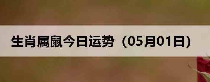 ��Ф����������ƣ�05��01�գ�