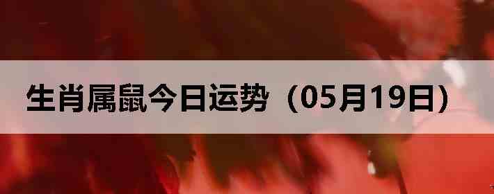 ��Ф����������ƣ�05��19�գ�