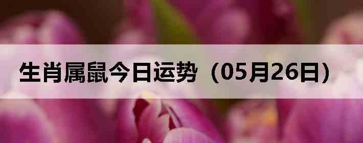 ��Ф����������ƣ�05��26�գ�