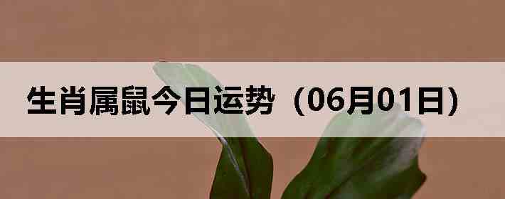 ��Ф����������ƣ�06��01�գ�