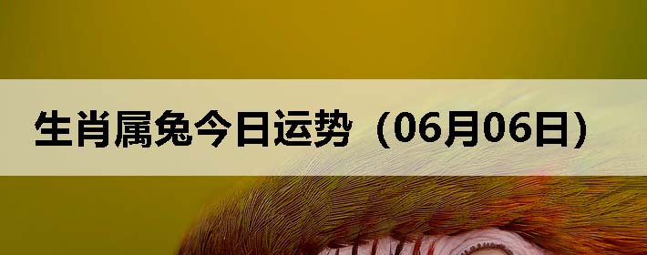 Фýƣ0606գ