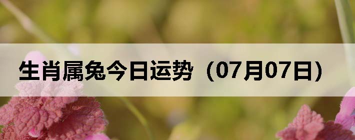 Фýƣ0707գ