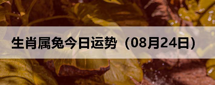 Фýƣ0824գ