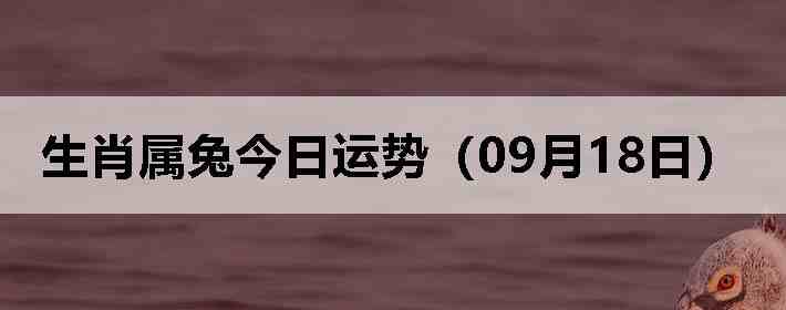 生肖属兔今日运势(09月18日)