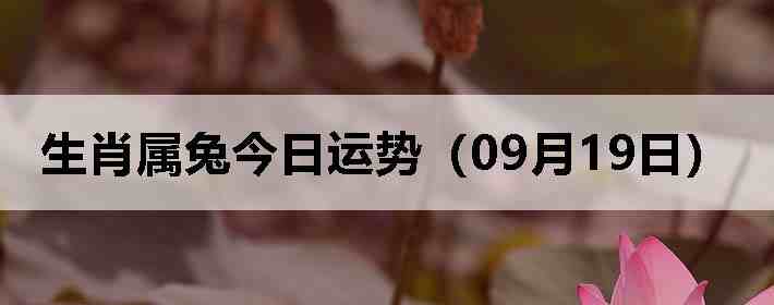 生肖属兔今日运势(09月19日)