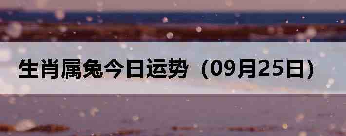 生肖属兔今日运势(09月25日)