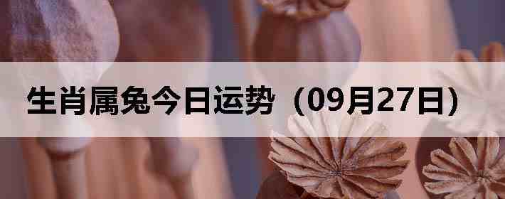 生肖属兔今日运势(09月27日)
