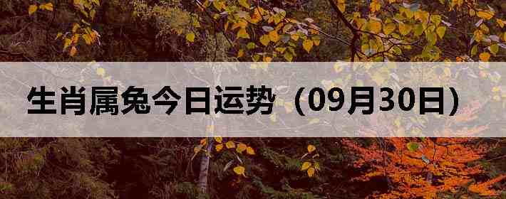 生肖属兔今日运势(09月30日)