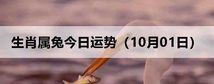 生肖属兔今日运势(10月01日)