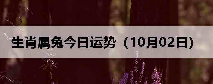 生肖属兔今日运势(10月02日)