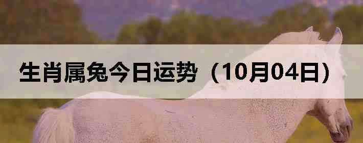 生肖属兔今日运势(10月04日)