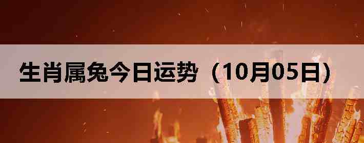 生肖属兔今日运势(10月05日)