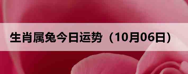 生肖属兔今日运势(10月06日)