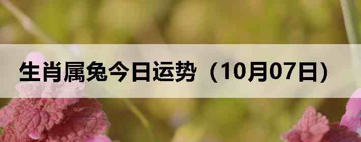 生肖属兔今日运势(10月07日)