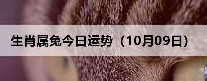 生肖属兔今日运势(10月09日)