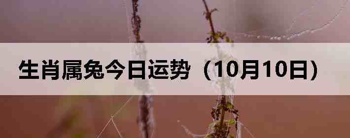 生肖属兔今日运势(10月10日)
