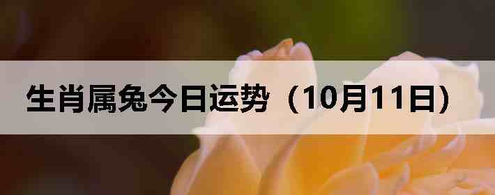 生肖属兔今日运势(10月11日)