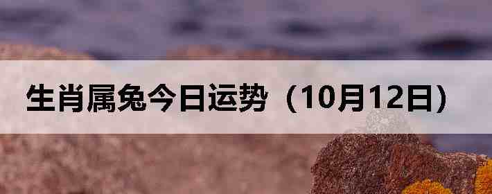 生肖属兔今日运势(10月12日)