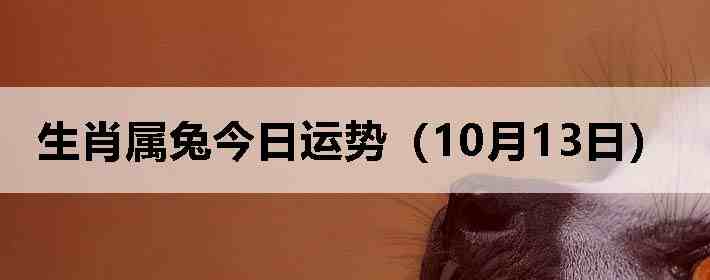 生肖属兔今日运势(10月13日)