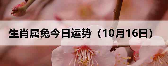 生肖属兔今日运势(10月16日)