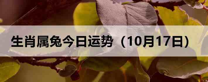 生肖属兔今日运势(10月17日)