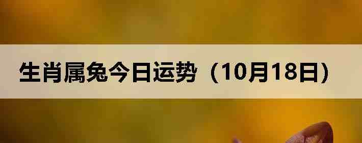 生肖属兔今日运势(10月18日)