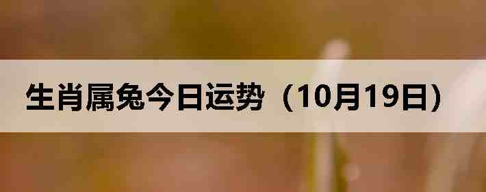 生肖属兔今日运势(10月19日)