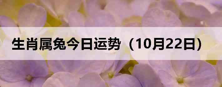 生肖属兔今日运势(10月22日)