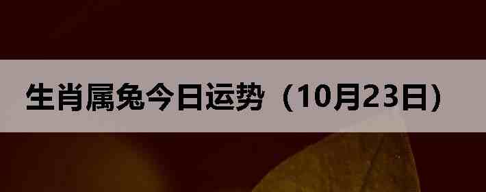 生肖属兔今日运势(10月23日)