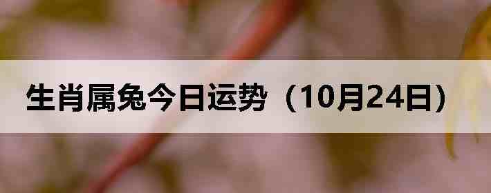 生肖属兔今日运势(10月24日)
