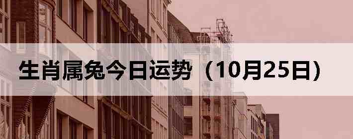 生肖属兔今日运势(10月25日)