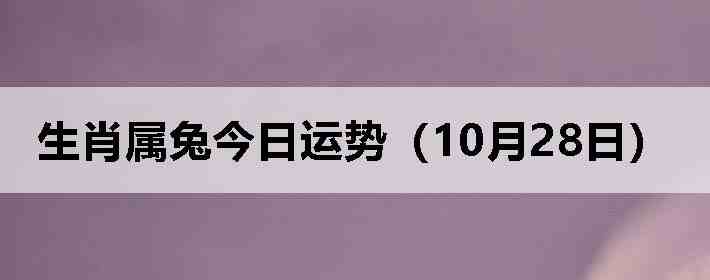 生肖属兔今日运势(10月28日)