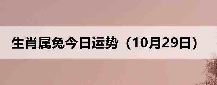 生肖属兔今日运势(10月29日)
