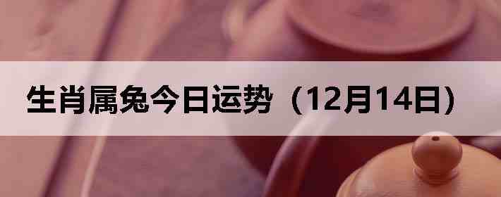 ��Ф���ý������ƣ�12��14�գ�