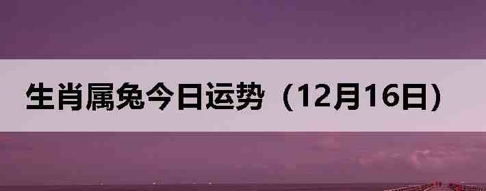 ��Ф���ý������ƣ�12��16�գ�